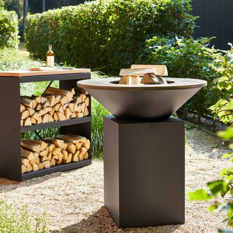 Les Secrets du Chef Plancha Barbecue | Grillen En Planchas^Barbecue Plancha Classic Black 100